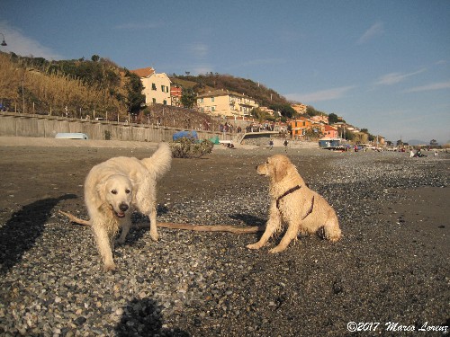 UNA GIORNATA A COGOLETO